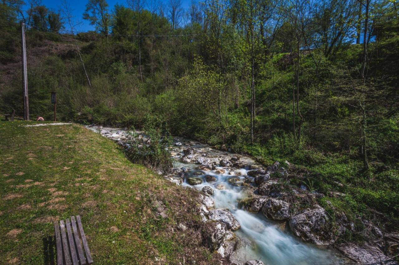 Ostello Altanon - Dolomiti Bellunesi Cesiomaggiore Eksteriør billede