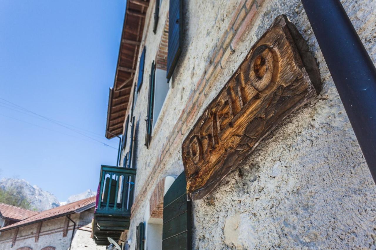 Ostello Altanon - Dolomiti Bellunesi Cesiomaggiore Eksteriør billede