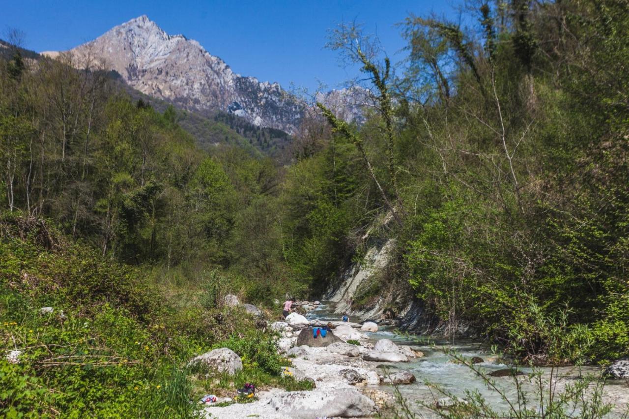 Ostello Altanon - Dolomiti Bellunesi Cesiomaggiore Eksteriør billede