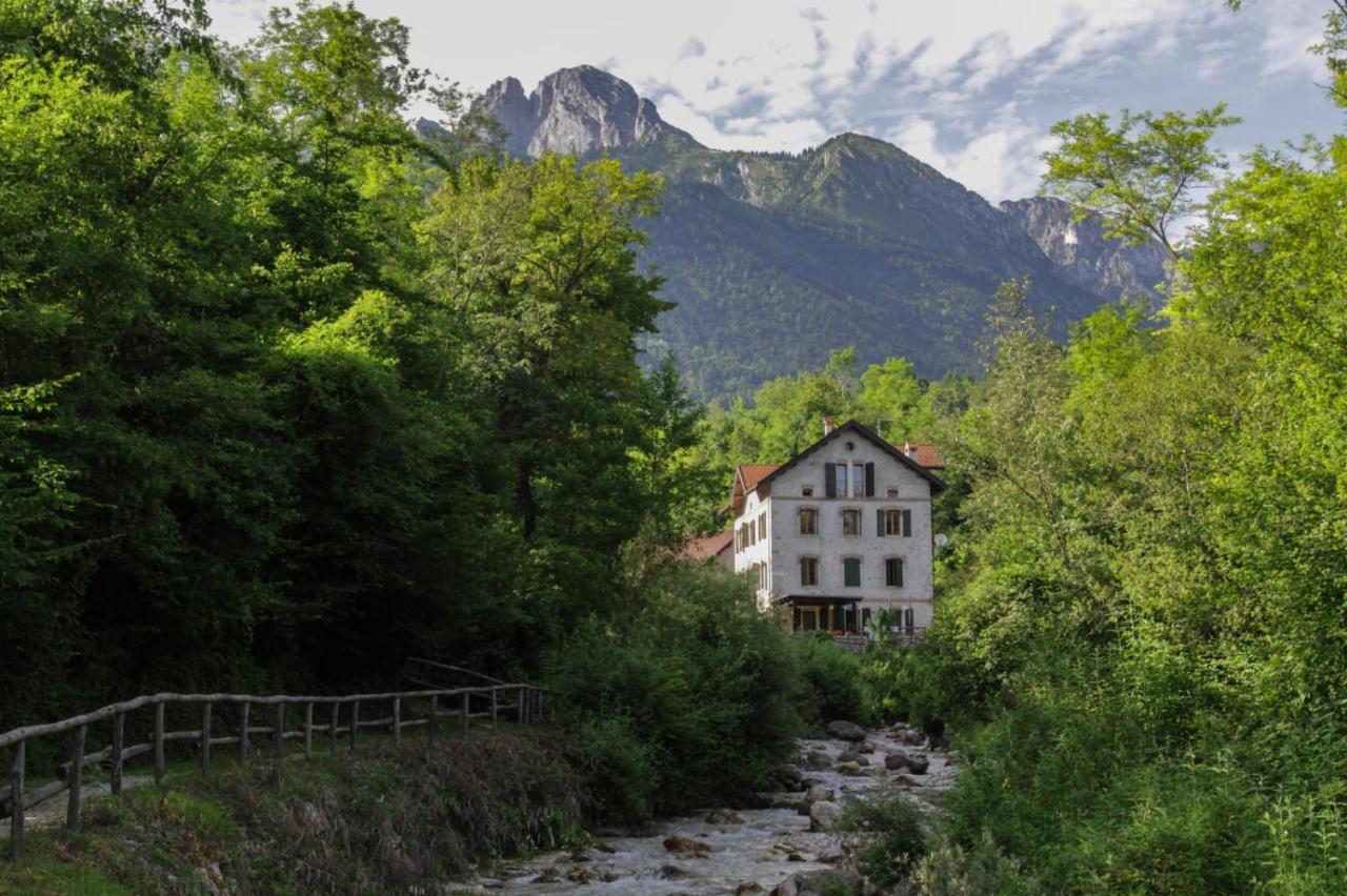 Ostello Altanon - Dolomiti Bellunesi Cesiomaggiore Eksteriør billede
